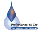Logo Professionel du Gaz